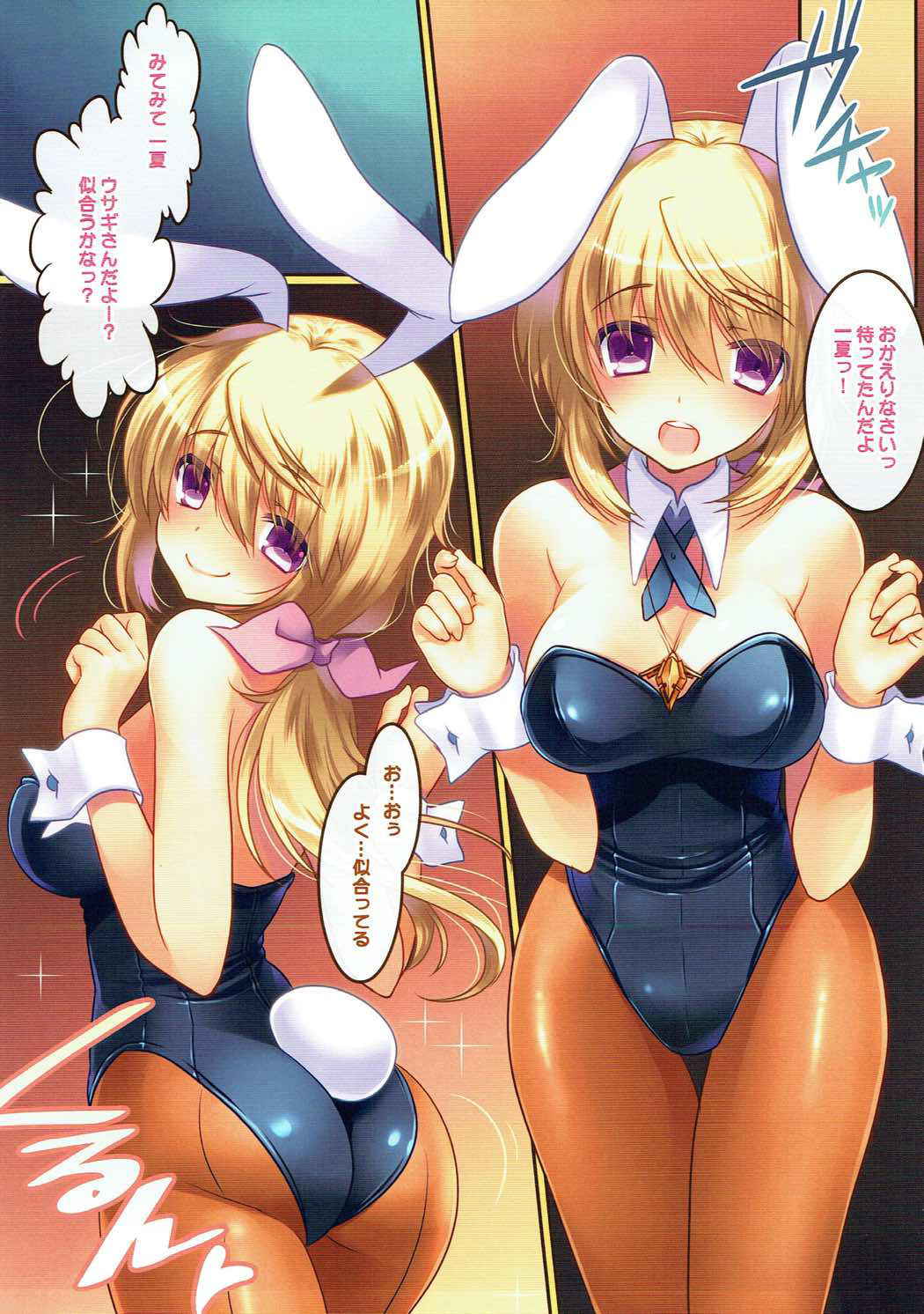 (C84) [slice slime (108 Gou)] Hatsujou Usagi no Shitsukekata (IS <Infinite Stratos>)