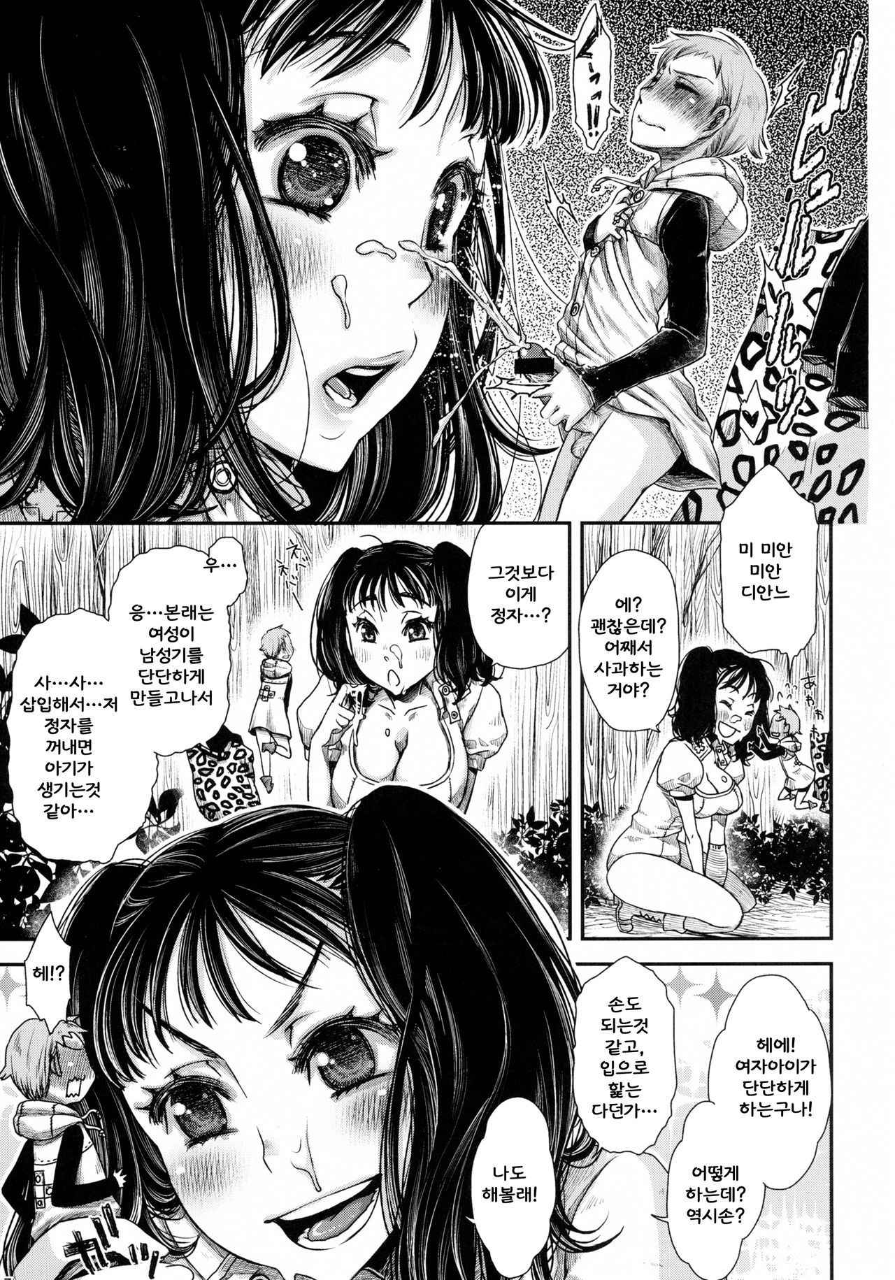 (C87) [Hanairogaeru (Kitsuneko Anko)] Diane's Question (Nanatsu no Taizai) [korean]