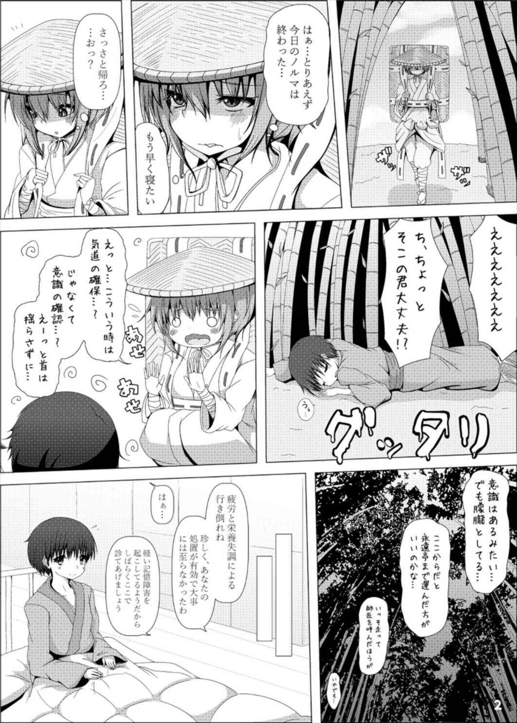 (紅楼夢13) [うぅさんの救急箱 (ざやく)] うどんげお姉さんが診てあげる (東方Project)