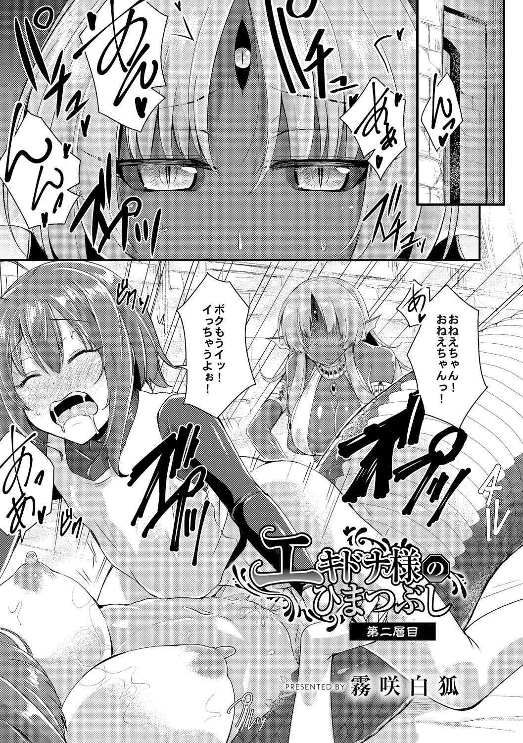 [Kirisaki Byakko] Echidna-sama no Himatsubushi Dai Ni Soume