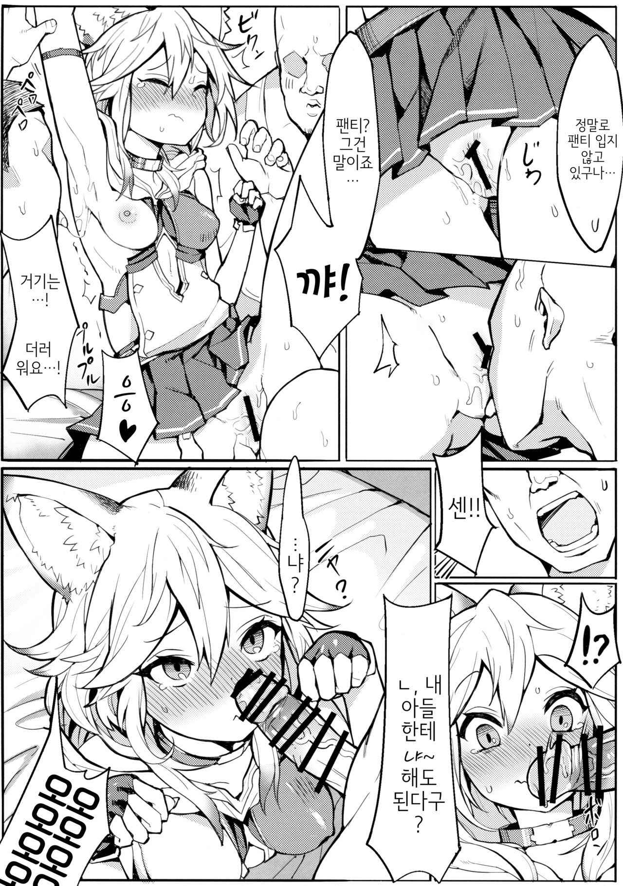 (C91) [Tuzi Laoda (Henrybird9)] Sen-chan! Nyan to Itte!! (Granblue Fantasy) [Korean] [Hellven]