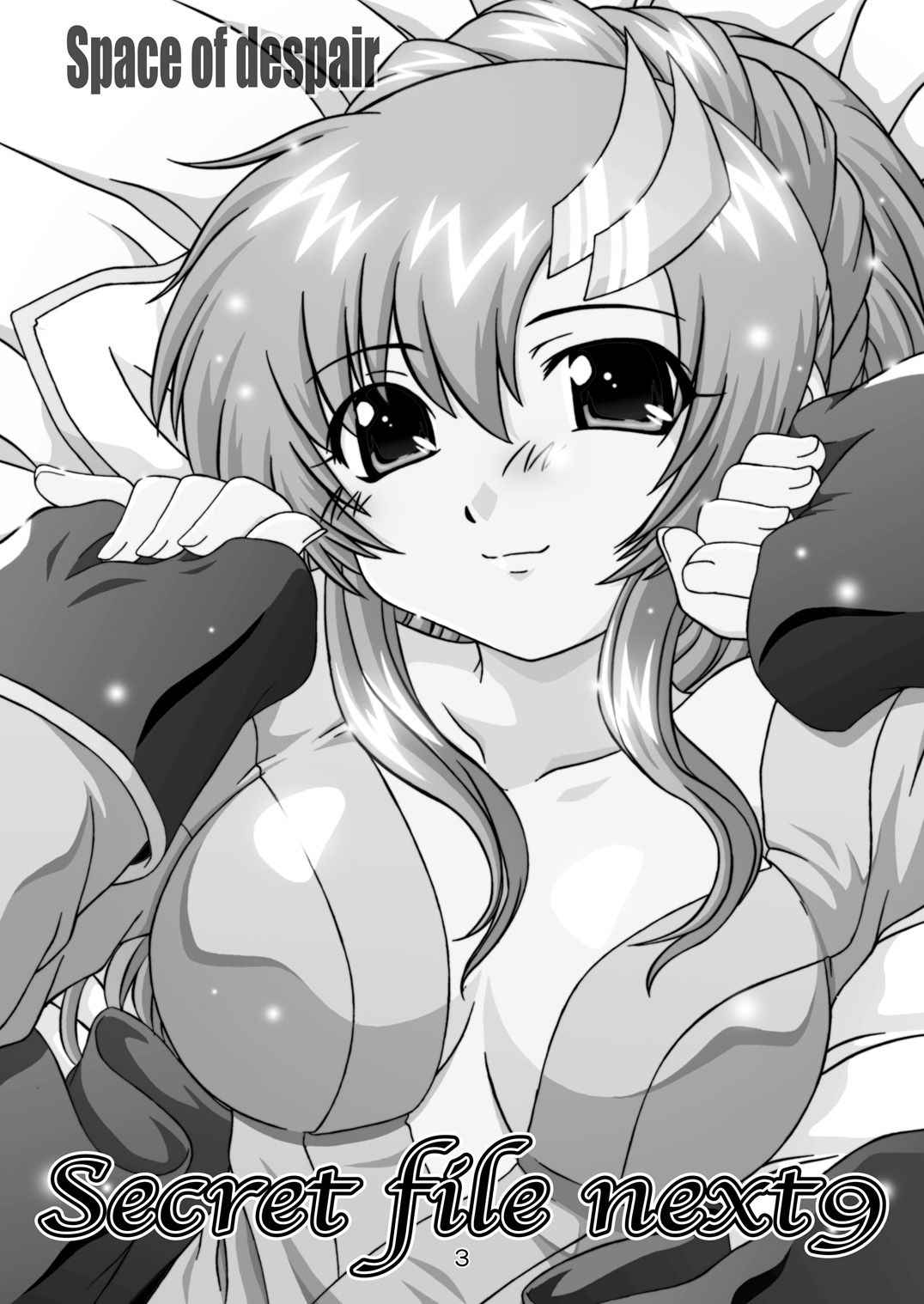 [Studio Wallaby (Takana Yu-ki)] SECRET FILE NEXT 9 - Space of Despair (Gundam Seed) [Digital]