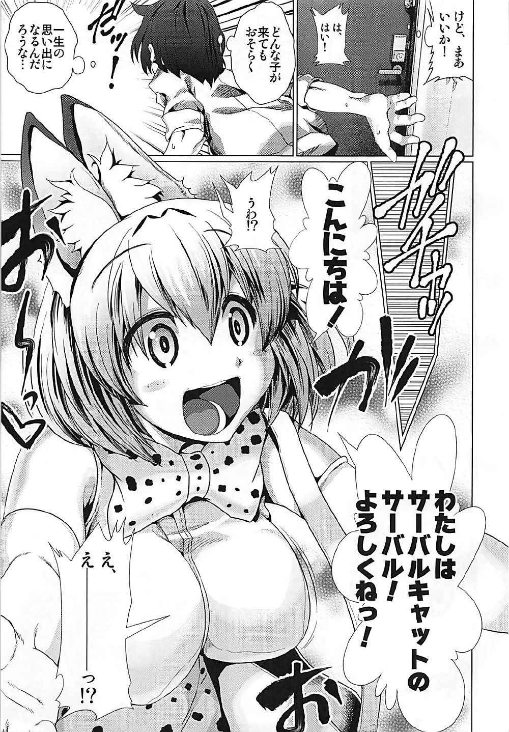 (C92) [Heart's nest (hato)] Tasukete! Serval-chan (Kemono Friends)