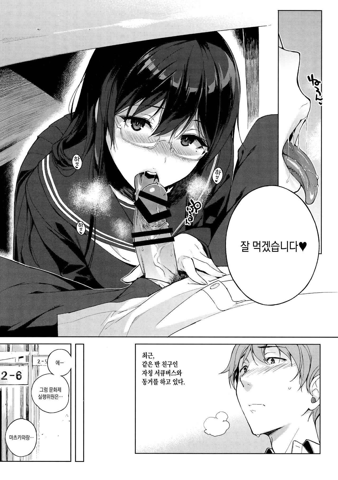 [Sasamori Tomoe] Succubus Stayed Life Soushuuhen [Korean]