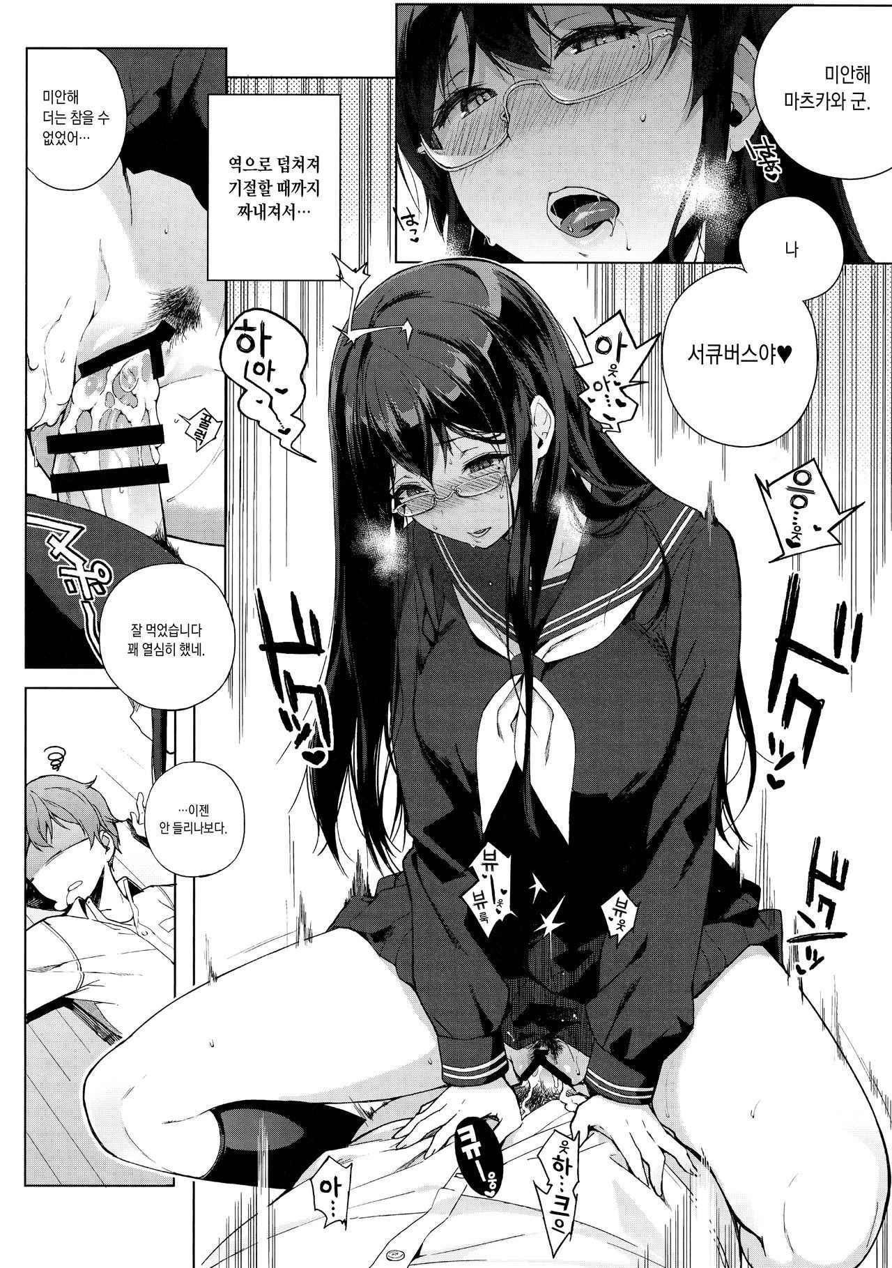 [Sasamori Tomoe] Succubus Stayed Life Soushuuhen [Korean]