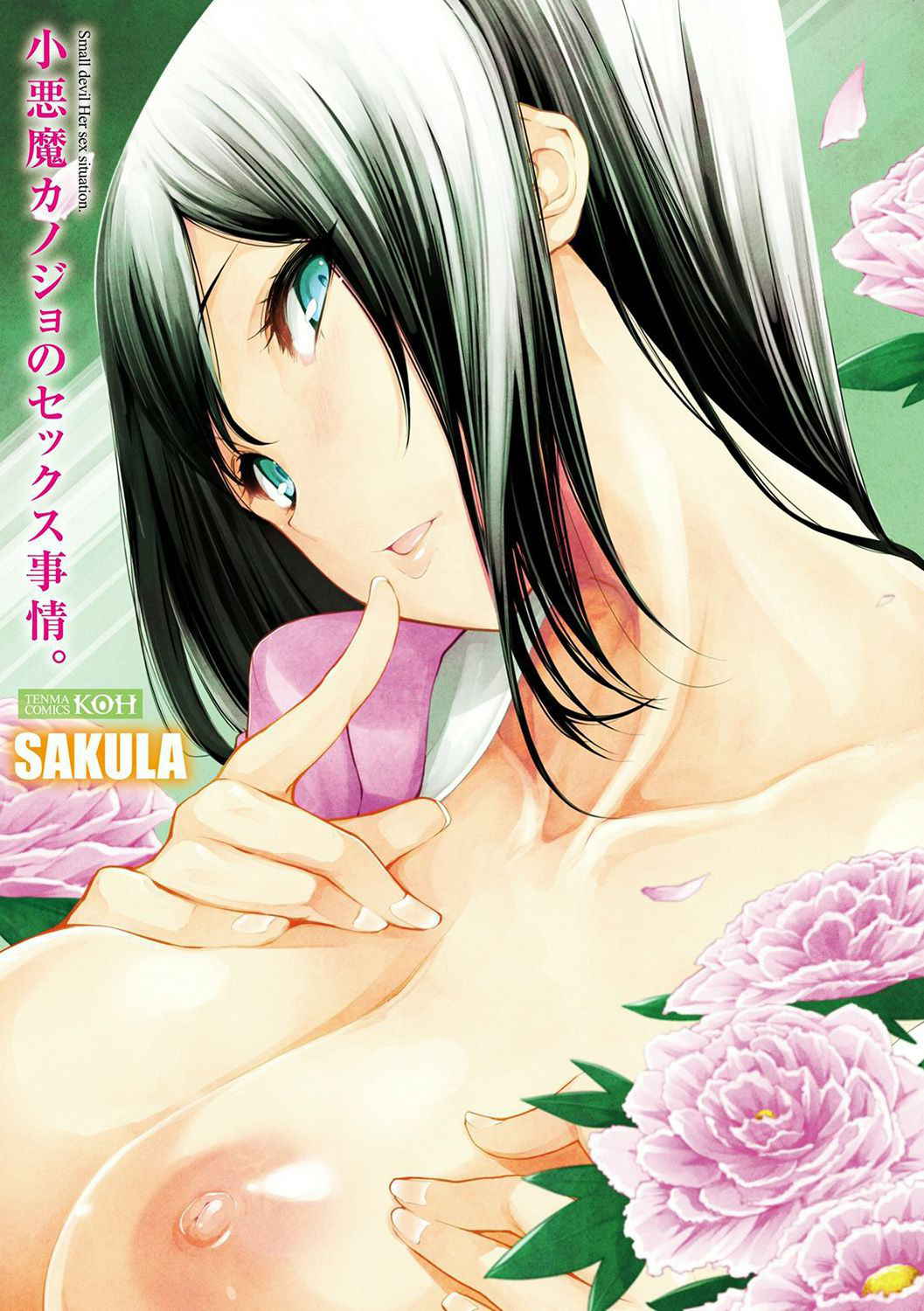 [SAKULA] Koakuma Kanojo no Sex Jijou.